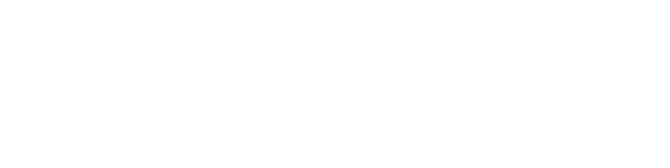HORIZON